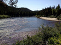 Camping sauvage – ZEC Godbout et Mistassini